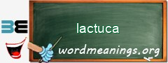 WordMeaning blackboard for lactuca